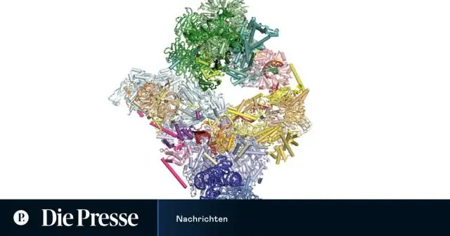 Wie übersetzt man mRNA in Protein?