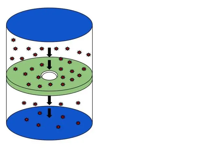 Verwendet die erleichterte Diffusion Proteinkanäle?