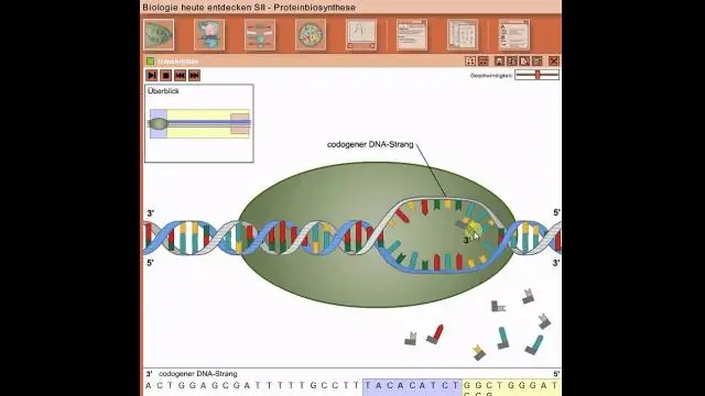 Hvordan sorterer og måler du DNA-tråder selv om de er så små?