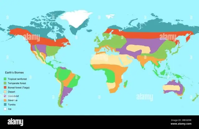 Was sind die Biome auf der Erde?