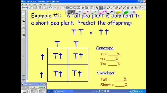 چگونه یک مربع پونت درست می کنید؟