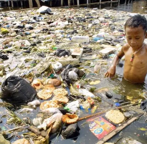 O que é a modificação humana do meio ambiente?