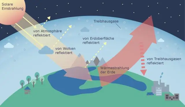 Was sind die wichtigsten Wasserbiome auf der Erde?