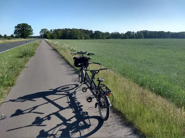 Kuidas teha kindlaks, kas reaktsioonil on positiivne delta S?