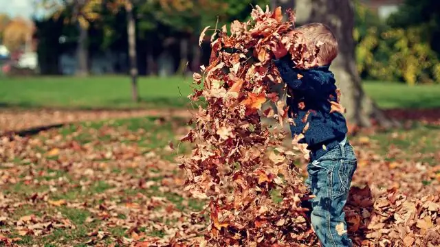 Warum ist es wichtig, dass die DNA-Replikation genau ist?