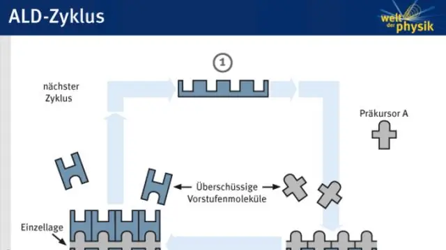 Wat is het gebied van populatiedynamiek en waarom is het nuttig bij het bestuderen van populaties?