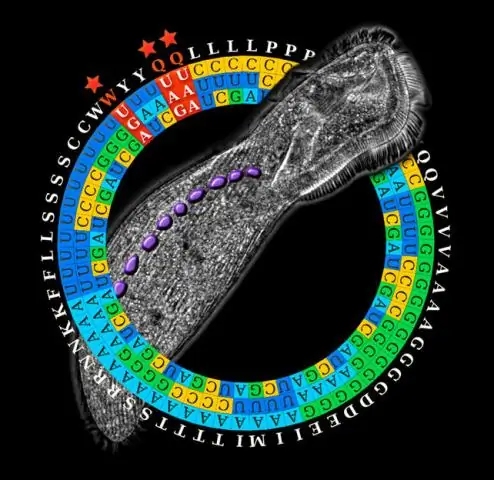 Ce înseamnă codul genetic universal?