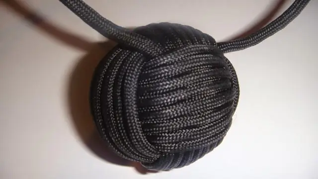 Comment faire une cellule végétale à partir d'une boule de polystyrène ?