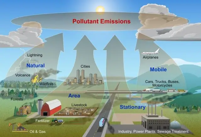 Quali due gas si trovano in tutti gli strati dell'atmosfera?