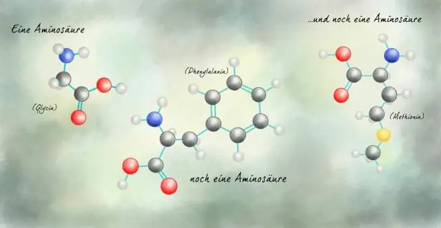 Hoe is de structuur van koolstof gerelateerd aan de verscheidenheid aan macromoleculen die in levende wezens worden aangetroffen?