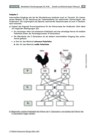 Quali sono i modelli di ereditarietà mendeliana?