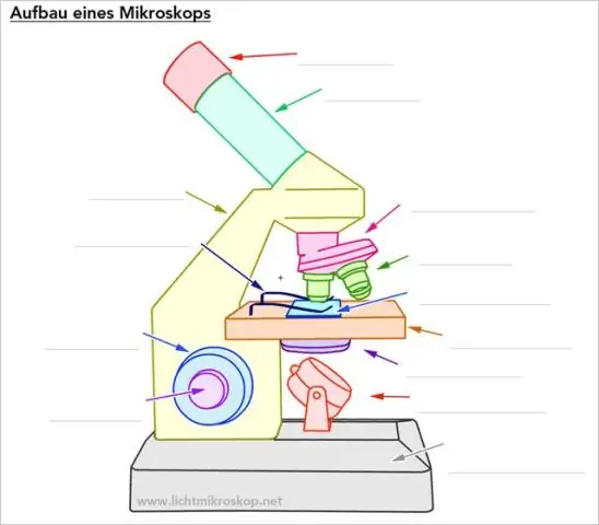 В чем преимущества электронного микроскопа и светового микроскопа?