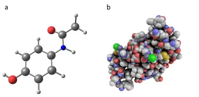 Welk type organisch molecuul wordt het meest gebruikt als energie voor cellen?