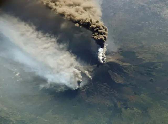 Riesci a identificare il ruolo che i produttori svolgono nel ciclo del carbonio?