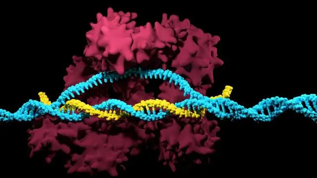 Kako protein izvan ćelije može uzrokovati događaje unutar ćelije?