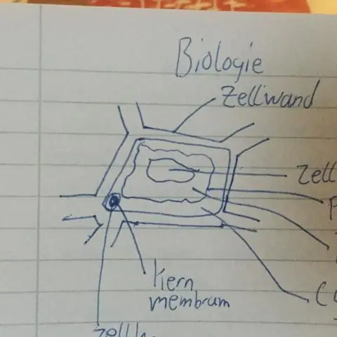 Wie zeichnet man Biologie?