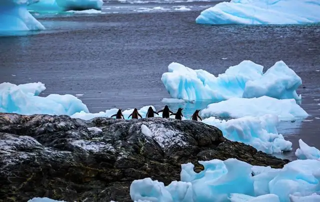 Quel type de climat vivent ceux qui vivent dans les latitudes moyennes ?