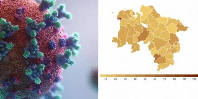 Bir grafikte ortalamayı nasıl buluyorsunuz?