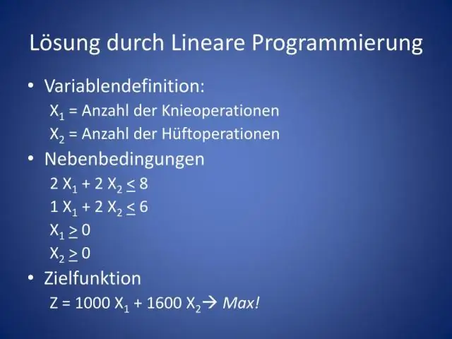 Dab tsi yog qhov kev xav ntawm linear programming?