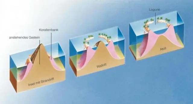 Các đảo cao được tạo ra như thế nào?