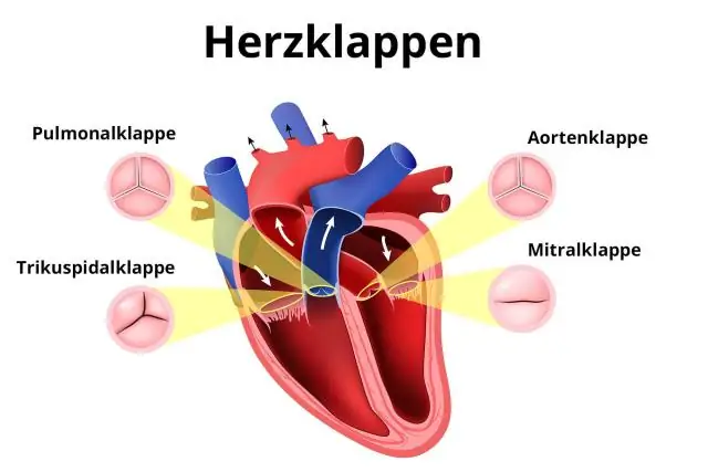 Dört yönde mineral bölünmesi nedir?