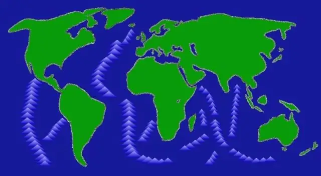 O que as dorsais meso-oceânicas têm?