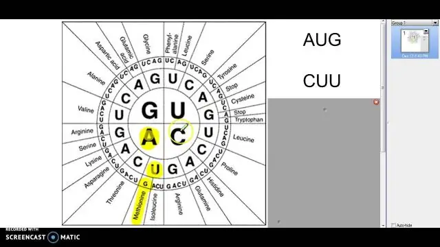 Cos'è una ruota del codone?