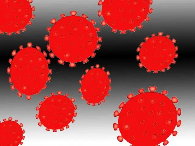 DNA ve RNA'daki şeker arasındaki fark nedir?