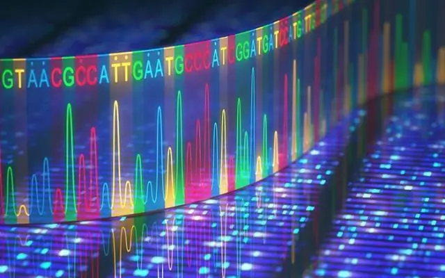 Como o DNA é passado de geração em geração?