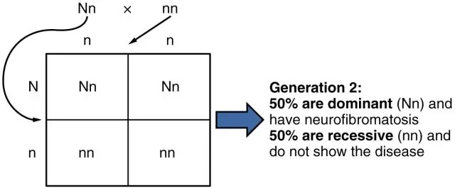 Quina diferència hi ha entre la probabilitat condicional i la probabilitat conjunta?