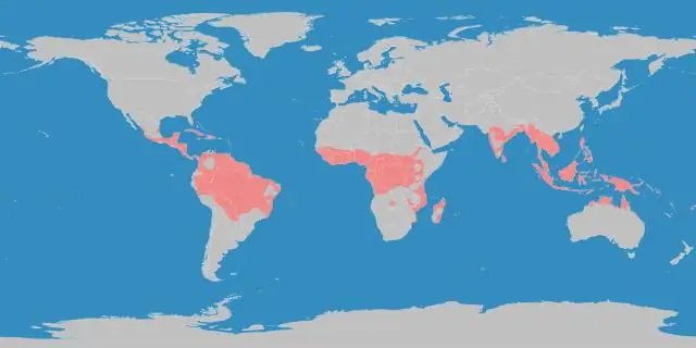 Qual é a diferença entre região tropical e região temperada?