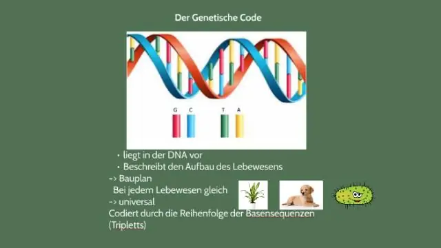 Cosa significa codice genetico?