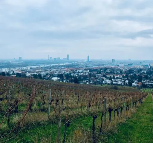 Hogyan hasznos a központi hely elmélet a geográfusok számára?