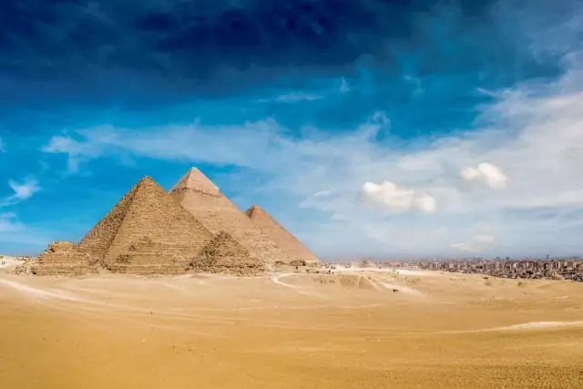 Pourquoi la pyramide trophique est-elle une pyramide ?