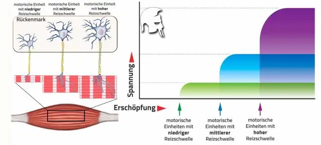 Wie findet man die Einheiten einer Geschwindigkeitskonstante?