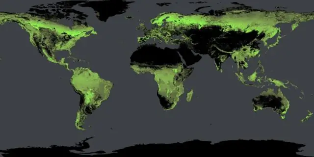 Wat vertel fossiele vir ons oor die aarde se oppervlak en klimaat?